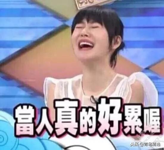 娱乐圈沙雕吃瓜文女主