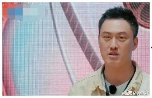 娱乐圈吃瓜爆料骗局是真的吗,真相与谣言的较量